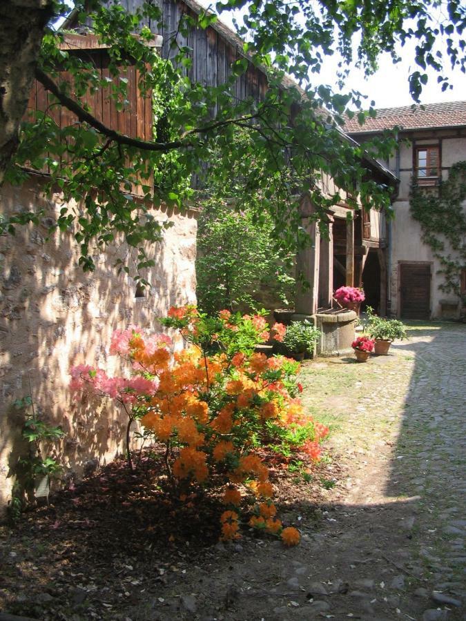 Les Hortensias Riquewihr Eksteriør bilde